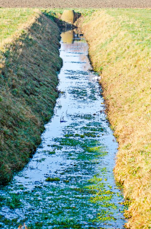 Drainage Ditch Digging detail