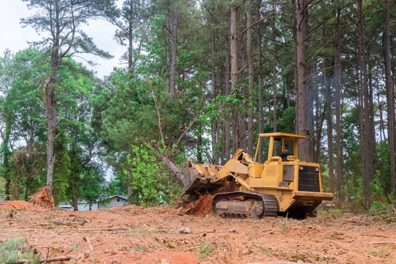 Lake Lot Clearing in Atlanta, GA